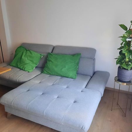 Schone Wohnung In Der Grazer Innenstadt 外观 照片
