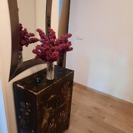 Schone Wohnung In Der Grazer Innenstadt 外观 照片